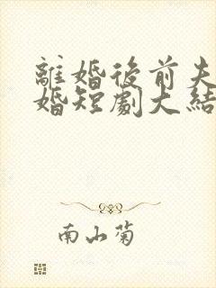 离婚后前夫求复婚短剧大结局