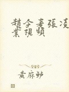 赵今麦张凌赫营业视频