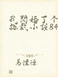 我闪婚了个亿万总裁小说84