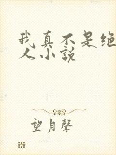 我真不是绝世高人小说