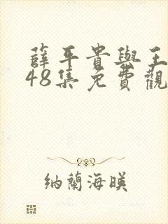 薛平贵与王宝钏48集免费观看