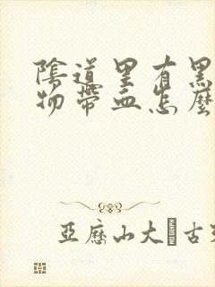 阴道里有黑色赃物带血怎么回事封面