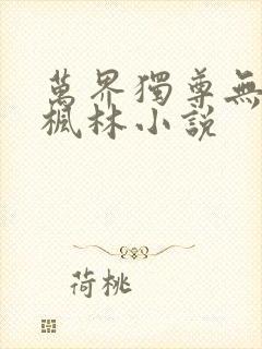 万界独尊无忧林枫林小说