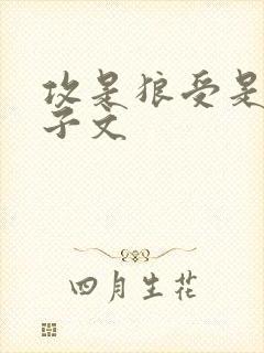 攻是狼受是人生子文