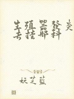 生殖器发炎应该去挂哪科封面