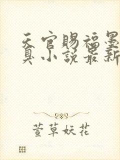 天官赐福墨香铜臭小说最新章节精校版