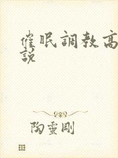 催眠调教高辣小说