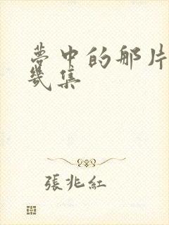 梦中的那片海共几集