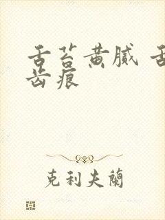 舌苔黄腻 舌边齿痕