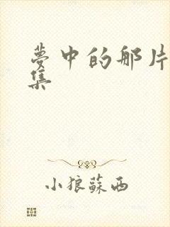 梦中的那片海几集