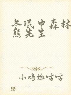 冬眠中森林里的熊先生