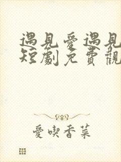 遇见爱遇见幸福短剧免费观看完整版