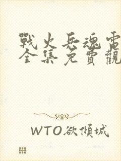 战火兵魂电视剧全集免费观看