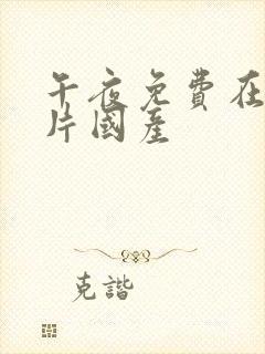 午夜免费在线看片国产