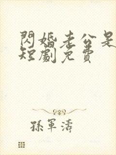 闪婚老公是豪门短剧免费