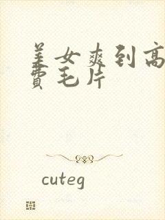 美女爽到高潮免费毛片