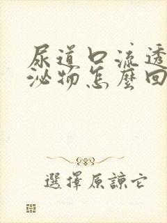 尿道口流透明分泌物怎么回事