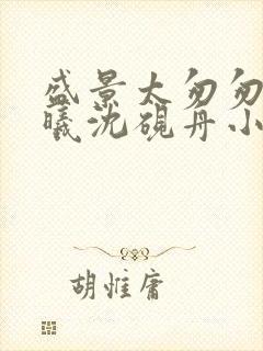 盛景太匆匆宁若曦沈砚舟小说阅读封面