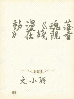 动漫《魂落天使》在线观看免费