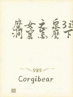 魔女之泉3迷雾洞窟怎么下去