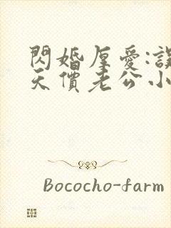 闪婚厚爱:误嫁天价老公小说