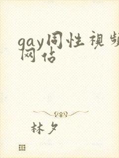 gay同性视频网站