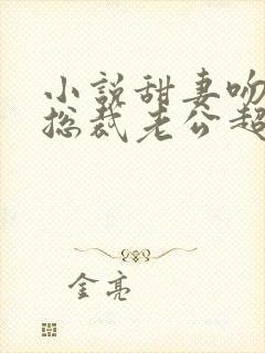 小说甜妻吻安:总裁老公超棒的