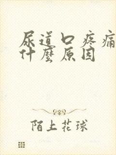 尿道口疼痛痒是什么原因