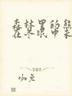 森林里的熊先生在冬眠中未增减版漫画