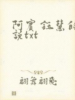 阿宾 钰慧的小说txt