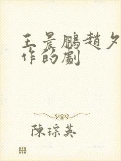 王晨鹏赵夕汐合作的剧