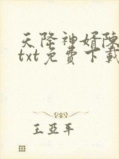 天降神婿陈黄皮txt免费下载