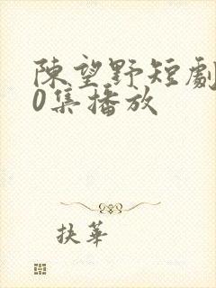陈望野短剧第90集播放