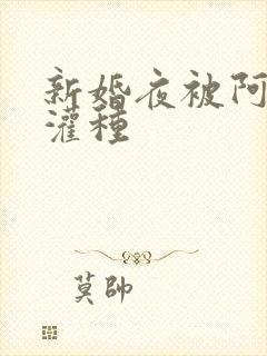 新婚夜被阿龟强灌种封面