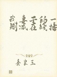 我妻子的一切未删减在线播放