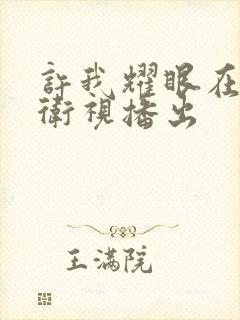 许我耀眼在哪个卫视播出