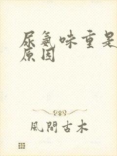 尿氨味重是什么原因