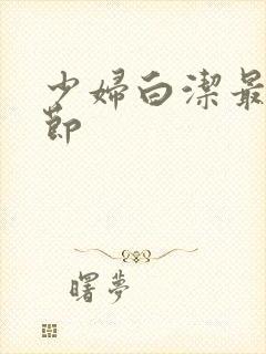 少妇白洁最新章节