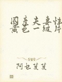 国产夫妻性生活黄色一级片