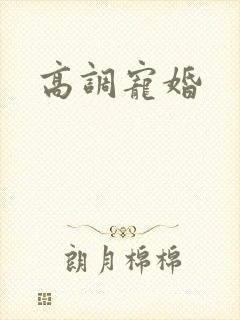 高调宠婚