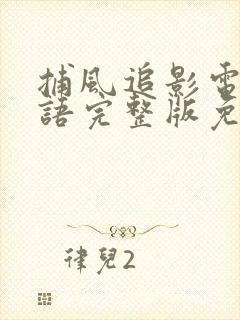 捕风追影电影粤语完整版免费观看高清封面