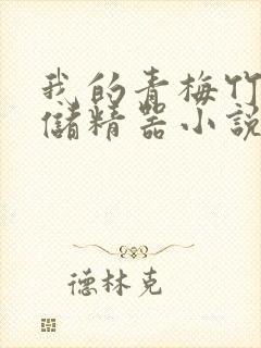 我的青梅竹马是储精器小说