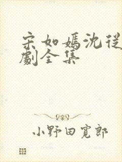 宋如嫣沈从元短剧全集