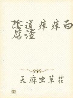 阴道痒痒白带豆腐渣