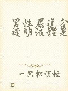 男性尿道分泌出透明液体是什么