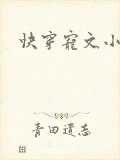 快穿宠文小说