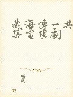 藏海传一共多少集电视剧