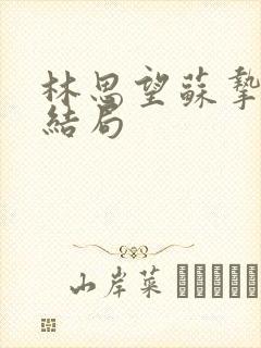 林思望苏挚意大结局封面