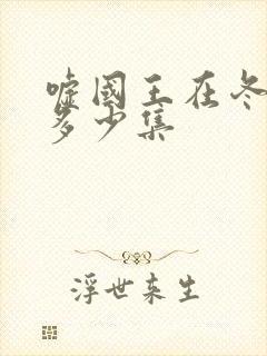 嘘国王在冬眠共多少集封面