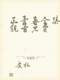 正青春全集在线观看免费